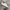 Vans Old Skool Side Stripe Lightweight Wear Original photo 1
