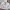 Polo Ralph Lauren Streetwear Y2K Windbreaker Pria white photo 6