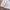 Polo Ralph Lauren Streetwear Y2K Windbreaker Pria white photo 2
