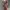 ZARA VINTAGE DRESS photo 4