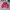 Vintage Sportswear Windbreaker Pria Red