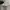 Burberry Twin Tipped Poloshirt photo 5