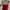 Top merah photo 2