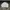 Bomber Jacket Codegraphy  photo 4