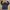 CARHARTT YORK JACKET DETROIT MICHIGAN 313 BLACK ORIGINAL photo 8