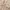 Beams Streetwear Casual Casual Shirt Pria Multicolor