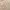 Beams Streetwear Casual Casual shirt Pria multicolor photo 3