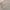 Beams Streetwear Casual Casual shirt Pria multicolor photo 5