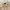 Beams Streetwear Casual Casual shirt Pria multicolor photo 4