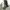 Dickies 874 longpants khakis photo 4