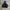 COOGI ZPPER HOODIE photo 5