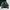 Tracktop adidas art buterfly photo 2