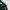 Tracktop adidas art buterfly photo 4