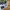 Adidas "Skateboarding Aerotech Flora" Short photo 4