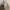 ABERCROMBIE FUR Y2K HOODIE photo 8