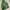 HOODIE VON DUTCH photo 3