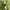 HOODIE VON DUTCH photo 7