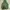 HOODIE VON DUTCH photo 1