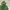 HOODIE VON DUTCH photo 5