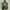 HOODIE VON DUTCH photo 2