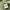 Gramicci olive green nylon shirt rare item photo 4