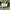 Gramicci olive green nylon shirt rare item photo 5