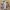 Yoshiyuki konishi x nyarome moretsu ataro anima rare item photo 3