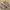 Yoshiyuki konishi x nyarome moretsu ataro anima rare item photo 1
