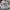 Yoshiyuki konishi x nyarome moretsu ataro anima rare item photo 8