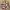 Yoshiyuki konishi x nyarome moretsu ataro anima rare item photo 2