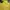 Kaos Marmot Baselayer Kaos Outdoor Yellow Trekking Kaos Olah photo 3