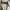 Converse Chuck Taylor All Star Lift photo 4