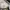 Converse Chuck Taylor All Star Lift photo 5