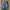 The North Face Streetwear Y2K Windbreaker Pria navy photo 1