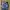 The North Face Streetwear Y2K Windbreaker Pria Navy