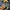 The North Face Streetwear Y2K Windbreaker Pria navy photo 6