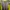 crop  photo 6