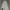 Kulot “hnm” photo 1