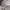 Nike Streetwear Casual Sweater Pria gray photo 5