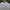 The North Face Casual T-shirt Pria white photo 3