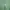 The North Face Casual T-shirt Pria green photo 4
