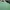 The North Face Casual T-shirt Pria green photo 3