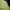 The North Face Casual T-shirt Pria green photo 4