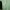 The North Face Casual T-shirt Pria green photo 8