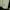 The North Face Casual T-shirt Pria green photo 5