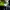 The North Face Casual T-shirt Pria green photo 7