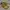 TIMBERLAND LOW BOOTS photo 1