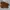 TIMBERLAND LOW BOOTS photo 4