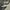 Converse ct low broken white photo 1