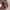 Converse 70s low leather pink photo 4